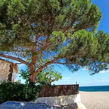 Pavillon Climatise 2 Pieces + Mezzanine, Terrasse, Parking Prive, A 400m De La - Fr-1-776-9 * Argeles-sur-Mer